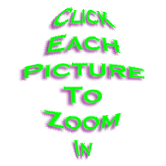Click each picture to Zoom In