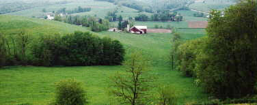 Amish
