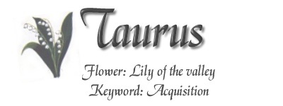 taurus7.jpg