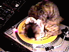 spinning