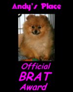 Andy's Place Official Brat Award