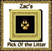 Zac's Pick Of The Litter Award