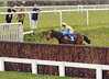 Steeplechaser