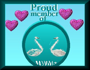 MWM swans on pond