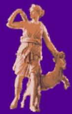 wpe1A.jpg (5012 bytes)
