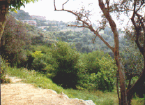 exteriorpompeii.gif (29265 bytes)