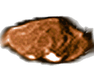 Moon Amalthea