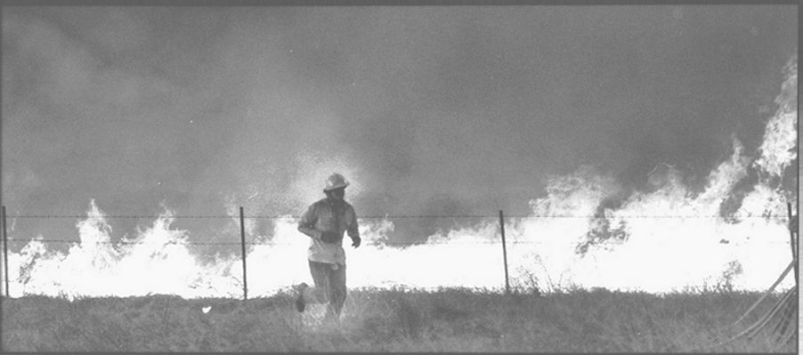 Click here to see some really incredible fire pictures