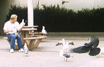 Steven feeding birds
