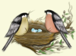 nestdec.jpg (12157 bytes)