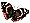 Bullit2