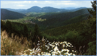 Blueridge