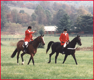 Huntsmen