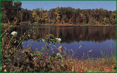 Lake