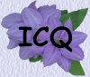 ICQ Pager Image