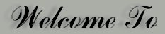 Welcome To