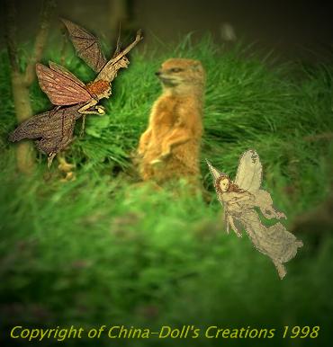 Woods Fairy
