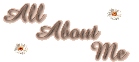welcome banner