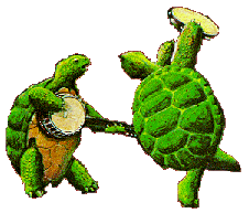 dancing
turtles