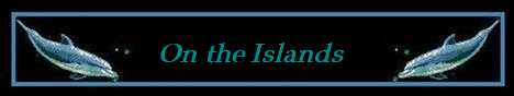 dolphin
banner