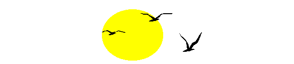 sun with
birds flying