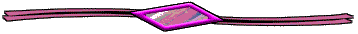 head
