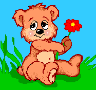 bear