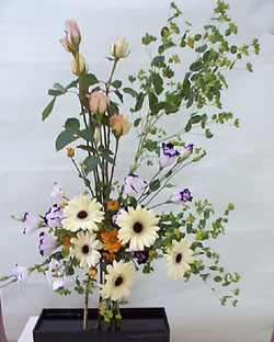 dance.JPG (32468 bytes)