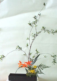 free.JPG (16758 bytes)