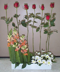 p2.JPG (23767 bytes)