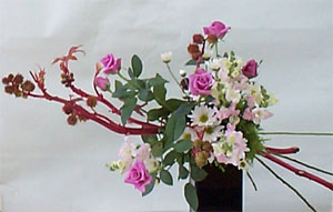spray2.JPG (22154 bytes)