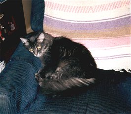Marbles