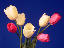 flower1