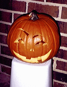 ed, my pumpkin
