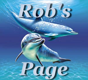 robgraphic.jpg (19866 bytes)
