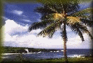 Ring of Philippine Websites Home Page