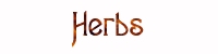 Herbs