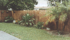 View #1 of the back yard