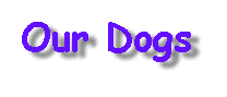 Click Here to see our dogs