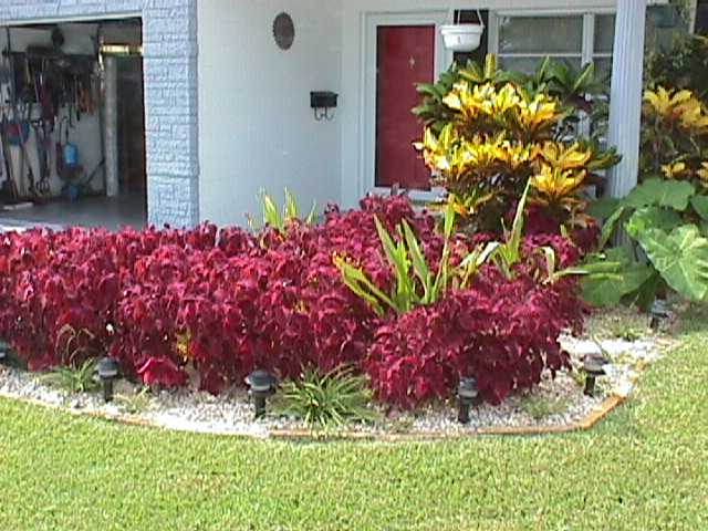 The new front flower bed