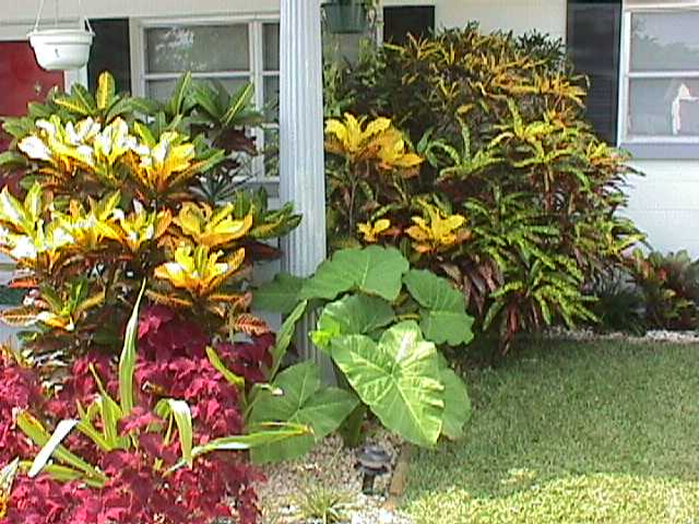 The new front flower bed - 3rd view