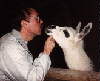 Jeff kissing a llama