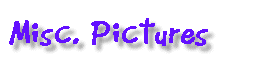 New Miscellaneous pictures. 26 July 1998