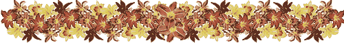 lily banner