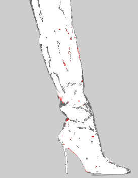 white1.jpg (7376 bytes)