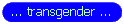 transgender pages