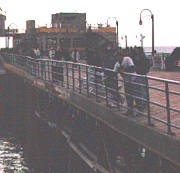 Pier Fishing