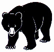 Ursus americanus