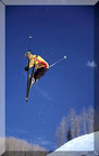 Skier Jumping
