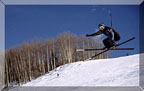 Skier Jumping